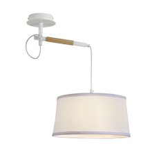 Настенно-потолочный светильник F-Promo Eureka 3005-1P