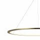Подвесной светодиодный светильник Loft IT Ring 10014XXL