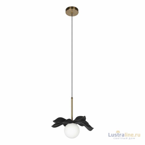 Подвесной светильник Loft IT Monro 10213/A Black