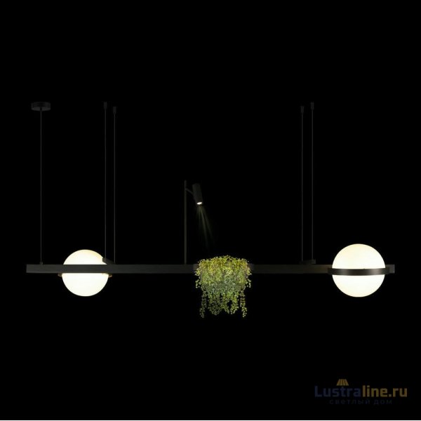 Подвесной светильник Loft IT Jardin 10121/D Подвесной светильник Loft IT Jardin 10121/D