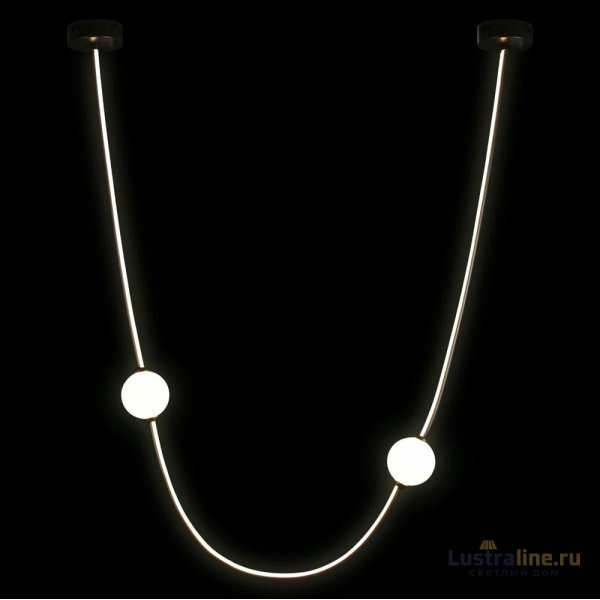 Подвесной светильник Loft IT Embrace 10242/800 Black Подвесной светильник Loft IT Embrace 10242/800 Black