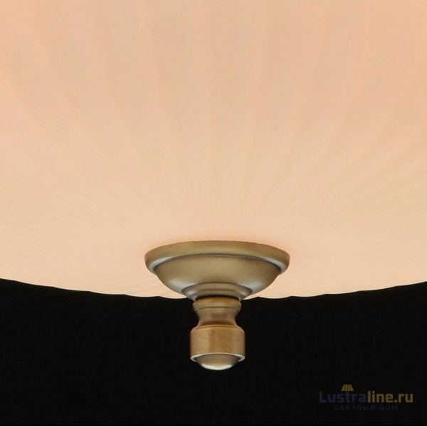 Подвесной светильник MW-Light Афродита 317010504