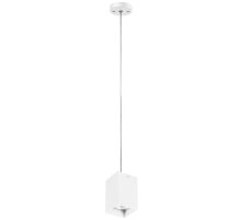 Подвесной светильник Lightstar RULLO RP336 (216336+590256)