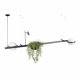 Подвесной светильник Loft IT Jardin 10121/C