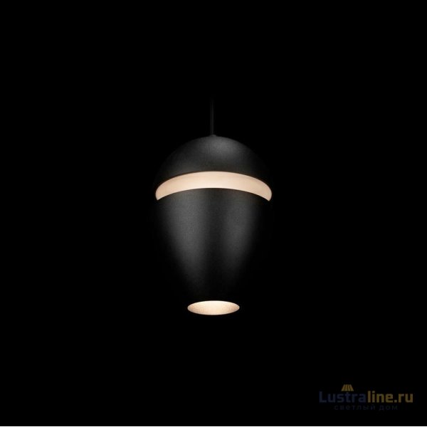 Подвесной светильник Loft IT Viterbo 10336 Black Подвесной светильник Loft IT Viterbo 10336 Black