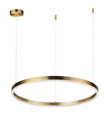 Подвесной светильник Lumion Echo 6531/50L УЦ