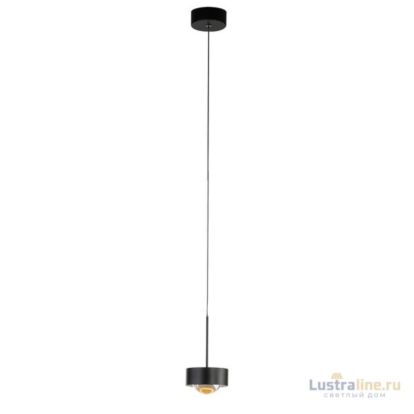 Подвесной светильник Delight Collection MD2826 MD2826-1A black Подвесной светильник Delight Collection MD2826 MD2826-1A black