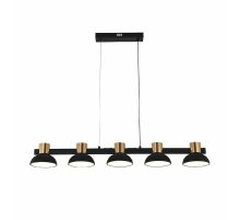 Подвесной светильник Indigo Traforo 11059/5PL Black V000184L Подвесной светильник Indigo Traforo 11059/5PL Black V000184L