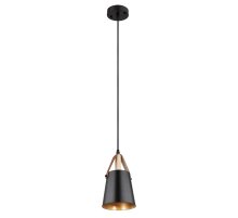 Подвесной светильник Arte Lamp Thomas A7032SP-1BK