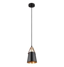 Подвесной светильник Arte Lamp Thomas A7032SP-1BK