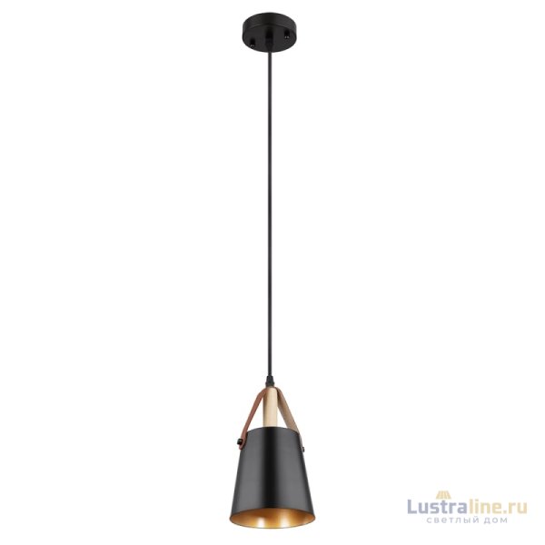 Подвесной светильник Arte Lamp Thomas A7032SP-1BK