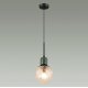 Подвесной светильник Odeon Light Greeni 5026/1