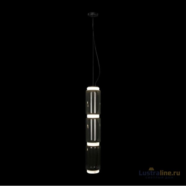 Подвесной светильник Loft IT Noctambule 10194/L Подвесной светильник Loft IT Noctambule 10194/L