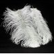 Подвесной светильник Lussole Cuscino GRLSP-8600