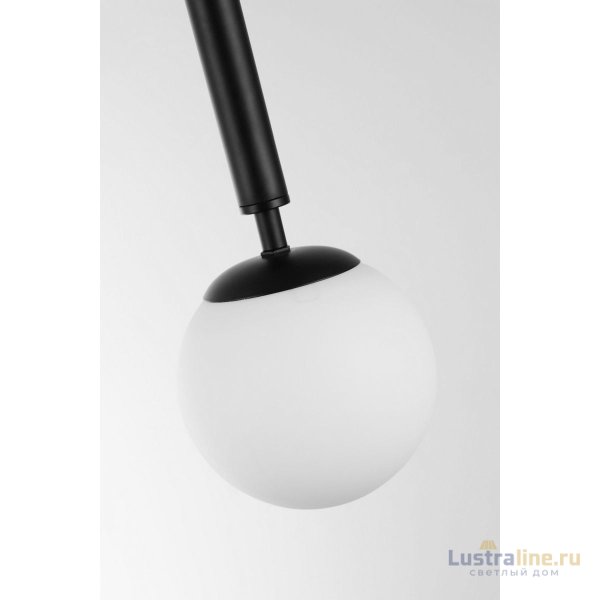 Подвесной светильник Lampit Ledo TP 2022-1 BK