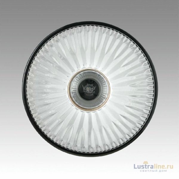 Подвесной светильник Lumion Suspentioni Natana 8053/1A Подвесной светильник Lumion Suspentioni Natana 8053/1A