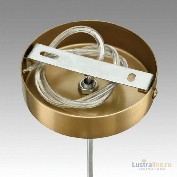 Подвесной светильник Lumion Jane 6593/1 Подвесной светильник Lumion Jane 6593/1