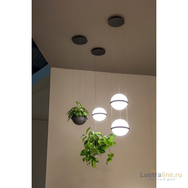 Подвесной светильник ImperiumLoft Palma 168490-22 Подвесной светильник ImperiumLoft Palma 168490-22