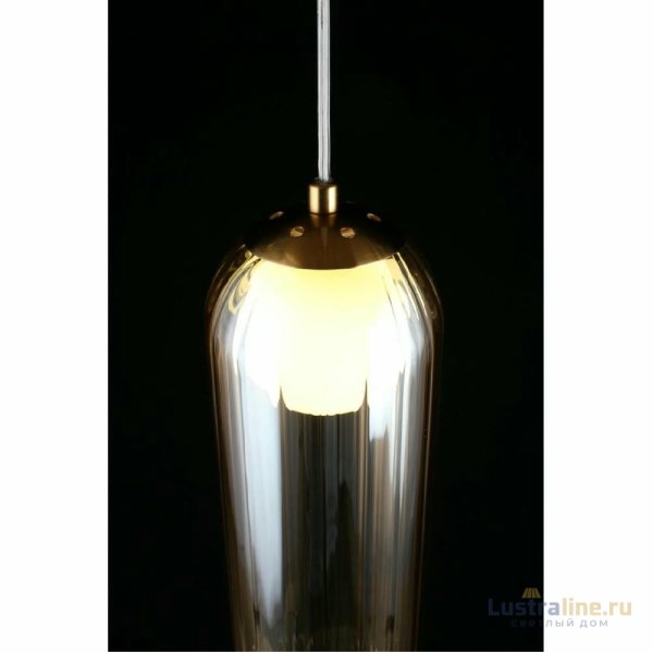 Подвесной светильник Aployt Arian APL.325.26.01