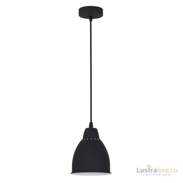 Подвесной светильник Arte Lamp Braccio A2054SP-1BK