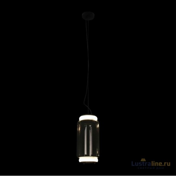 Подвесной светильник Loft IT Noctambule 10194/S