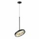 Подвесной светильник Odeon Light Bergi 5064/15L