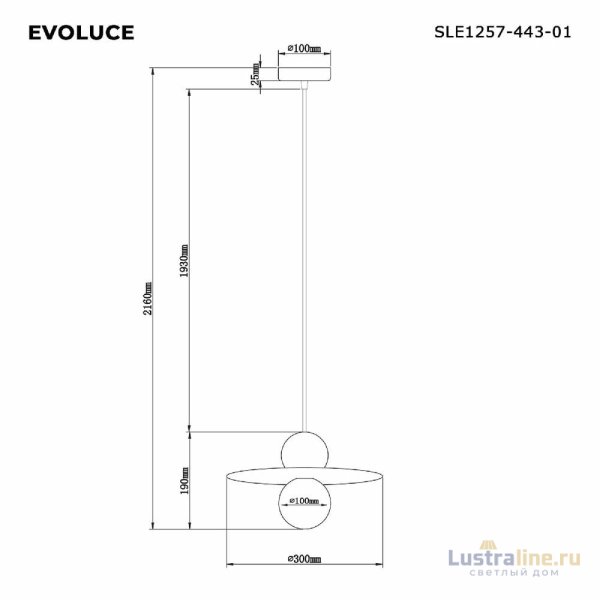 Подвесной светильник Evoluce Rizz SLE1257-443-01