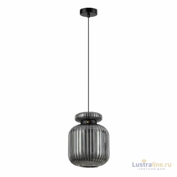 Подвесной светильник Odeon Light Jugi 5042/1B