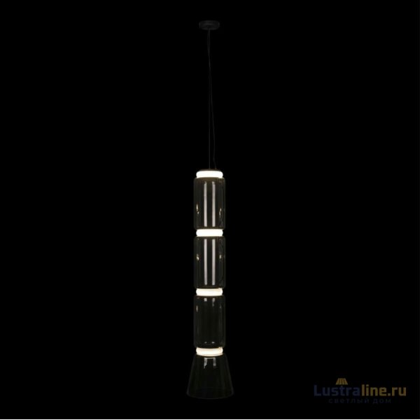 Подвесной светильник Loft IT Noctambule 10193/L Подвесной светильник Loft IT Noctambule 10193/L