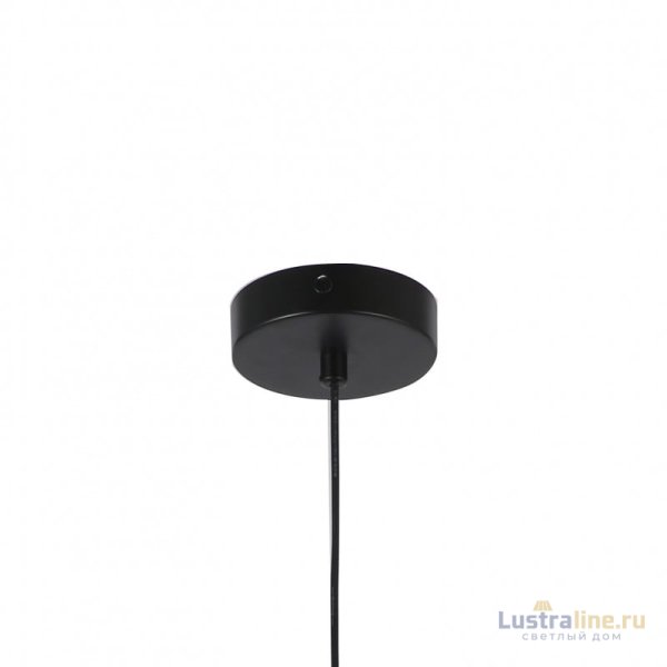 Подвесной светильник F-Promo Blister 2784-1P