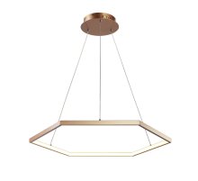 Подвесной светодиодный светильник Favourite Hexagon 2103-6P