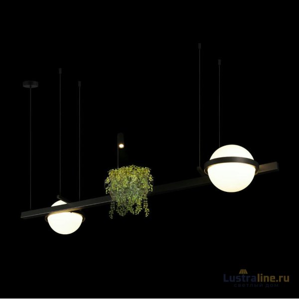 Подвесной светильник Loft IT Jardin 10121/D Подвесной светильник Loft IT Jardin 10121/D