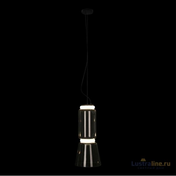 Подвесной светильник Loft IT Noctambule 10193/S