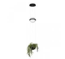 Подвесной светильник Loft IT Jardin 10121/B