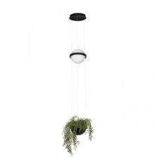 Подвесной светильник Loft IT Jardin 10121/B