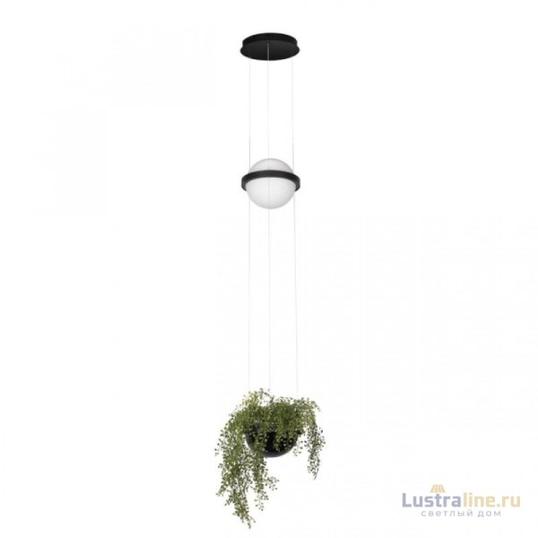 Подвесной светильник Loft IT Jardin 10121/B Подвесной светильник Loft IT Jardin 10121/B