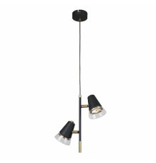 Подвесной светильник F-Promo Trandy 4618-2P