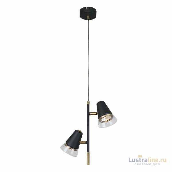 Подвесной светильник F-Promo Trandy 4618-2P