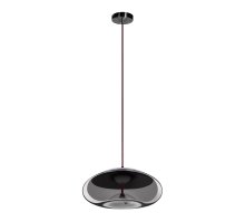Подвесной светильник Loft IT 8134-D