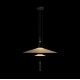 Подвесной светильник Loft IT Skylar 10244/A Black