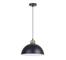 Подвесной светильник Arte Lamp Recinto A7053SP-1BK