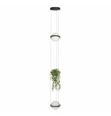 Подвесной светильник Loft IT Jardin 10121/2P Dark grey