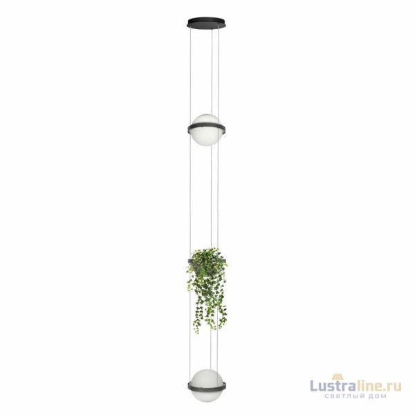 Подвесной светильник Loft IT Jardin 10121/2P Dark grey Подвесной светильник Loft IT Jardin 10121/2P Dark grey