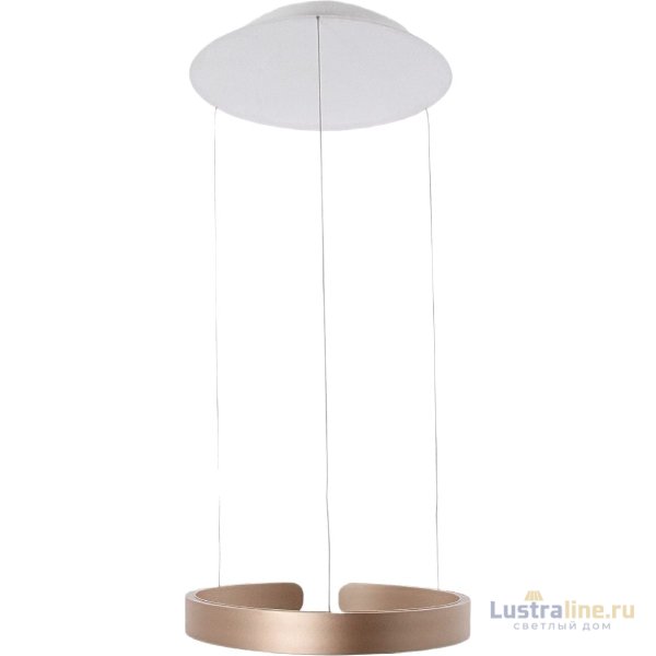 Подвесной светильник Mizi en Leo MZ31371-400G Подвесной светильник Mizi en Leo MZ31371-400G