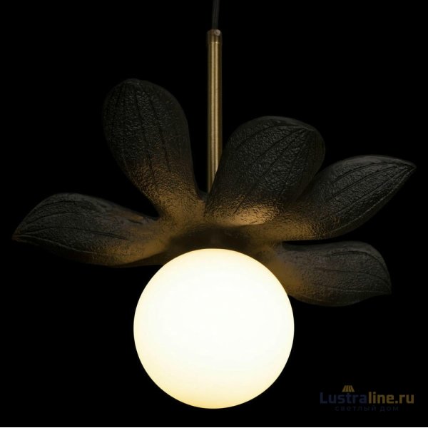 Подвесной светильник Loft IT Monro 10213/B Black Подвесной светильник Loft IT Monro 10213/B Black