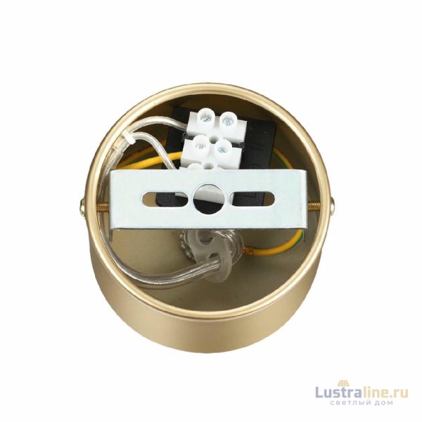 Подвесной светильник Lumion Toronto 6560/2 Подвесной светильник Lumion Toronto 6560/2