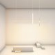 Подвесной светильник ImperiumLoft Squirrel 220665-23