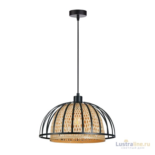 Подвесной светильник Arte Lamp Woodstock A7071SP-1BK Подвесной светильник Arte Lamp Woodstock A7071SP-1BK