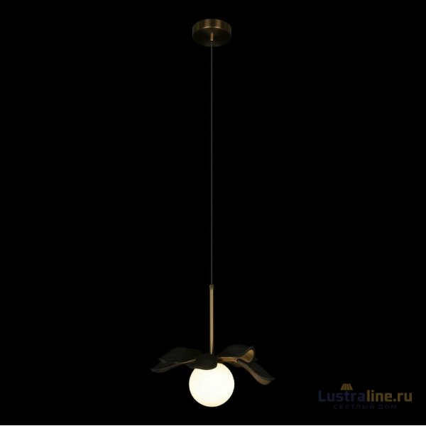 Подвесной светильник Loft IT Monro 10213/A Black