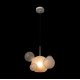 Подвесной светильник Loft IT Bolle 2030-P6 mini